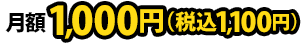 ���z1,000�~�i�ō�1,100�~�j